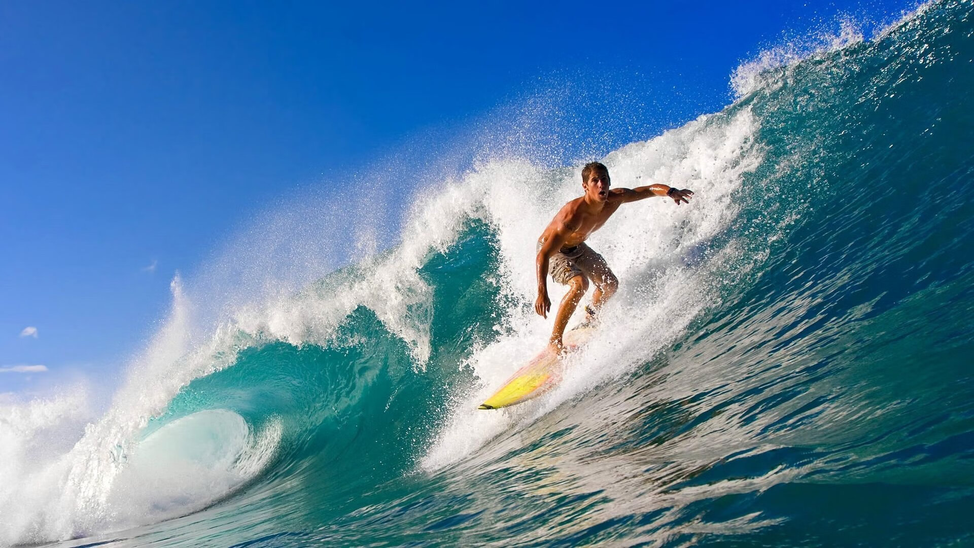 自由泳中程突尼斯节奏灵活，自由泳50秒